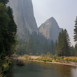 Meet your Posher, Abigail